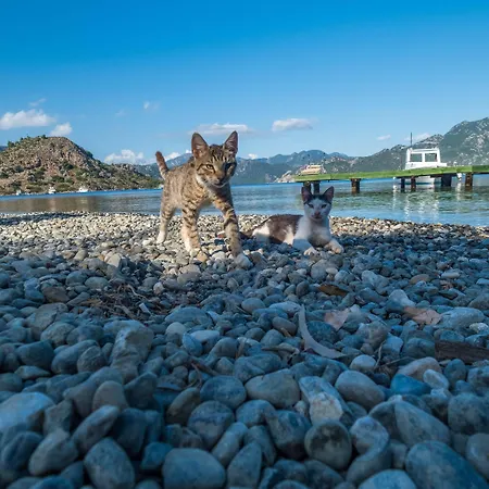 Balalayka Butik Hotel