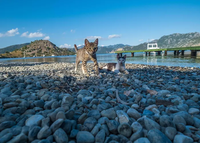 Balalayka Butik Otel