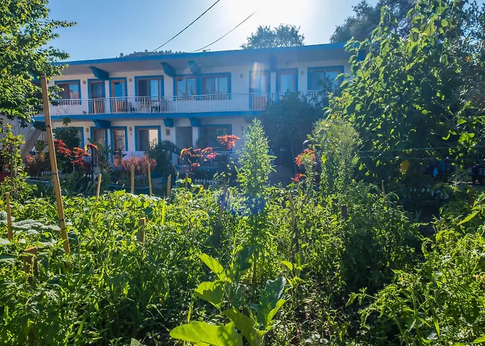 Otel Balalayka Butik 3*